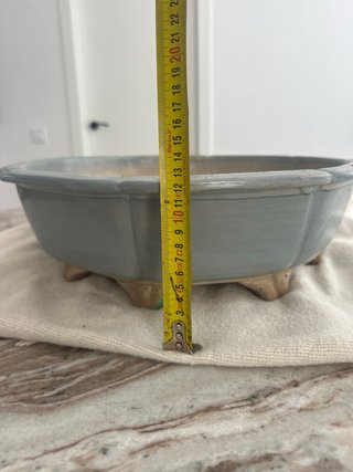 Maceta grande bonsai cerámica