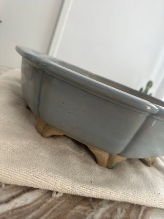Maceta grande bonsai cerámica