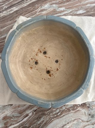 Maceta grande bonsai cerámica