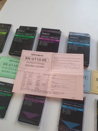 Tarjetas Roland U-110/U-20/U-220