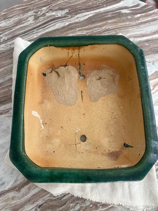 Maceta bonsai cerámica verde y amarilla