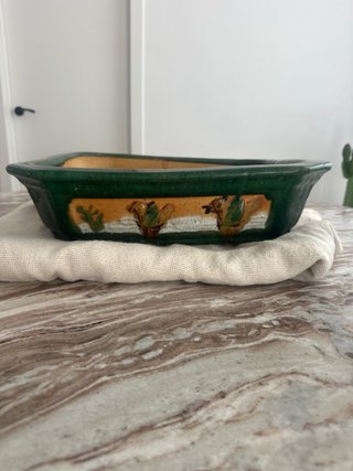 Maceta bonsai cerámica verde y amarilla