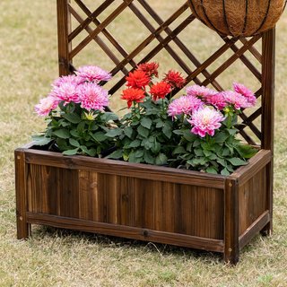 Maceta de Exterior de Madera, Maceta con Enrejado para Plantas Trepadoras y Huerto Elevado, 60X30X122.5 Cm, Marrón