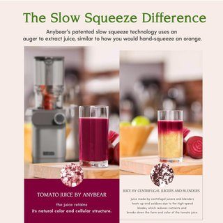 Anybear Juice Master Estrattore Succo 200W