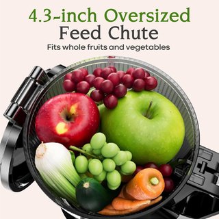 Anybear Juice Master Estrattore Succo 200W