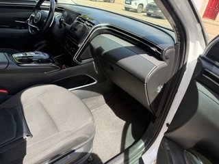 Por 313€ mes-TUCSON 1.6 TGDI 150CV 48V Tecno DCT