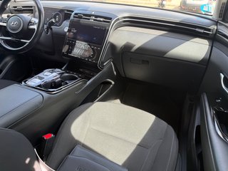 Por 313€ mes-TUCSON 1.6 TGDI 150CV 48V Tecno DCT