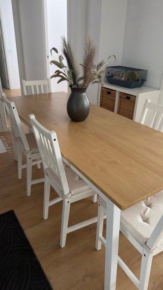Mesa comedor IKEA y 6 sillas con cojines