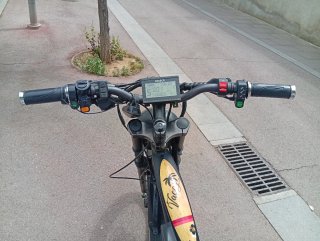​Bici electrica fat bike Cafe Racer Michael Blast
