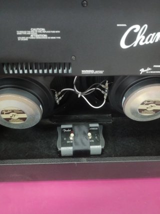 Amplificador Guitarra Fender Champion 100