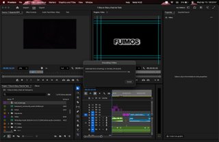 Editor de vídeo · Montajes profesionales