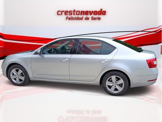 Octavia - DESDE 243€/MES ¡SIN PAGAR ENTRADA!