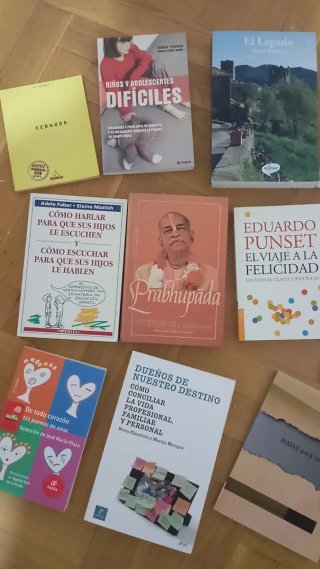 13 libros + pantalla lámpara+tiesto planta flores
