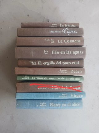 Lote 9 Libri Vari (Spagnolo)
