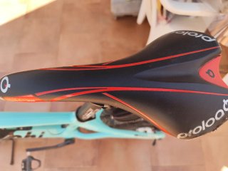 Bianchi Methanol Carbon 29” XC