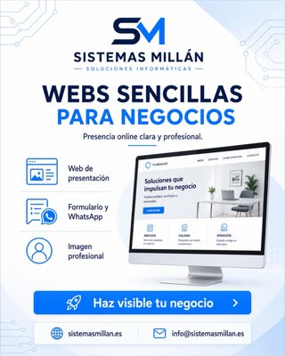 Informático para empresas