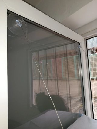 Hamaca para gato gris