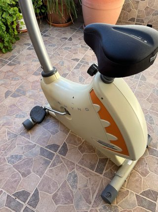 Bicicleta Estática BH Rhyno