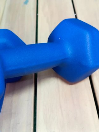 SONGMICS SYL65BU Pack de mancuernas de 2,5 kg Azul
