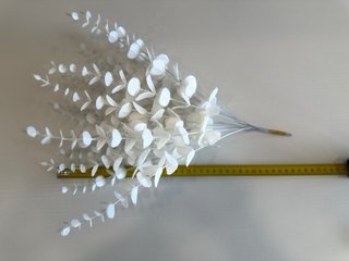 15 Ramas Decorativas Blancas Estilo Eucalipto