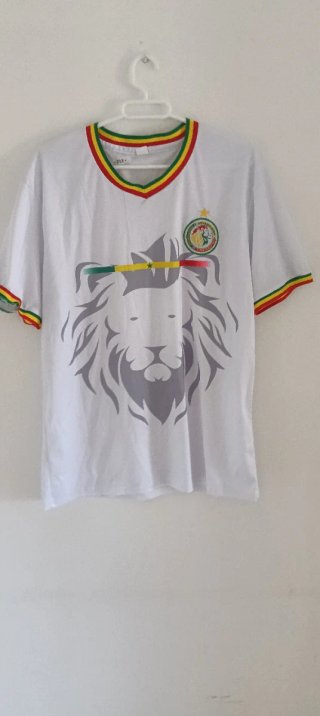 Camisetas de Senegal uno es de Puma uno es sin mar