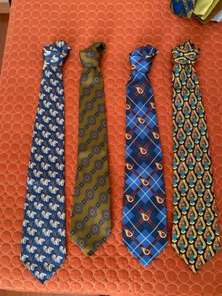 12 Cravatte di Marca Uomo