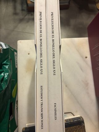 Libro: Privilegios de el Bonillo S.XVI