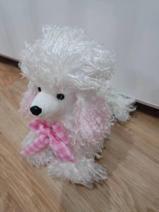 Peluche Caniche Blanco con Lazo Rosa