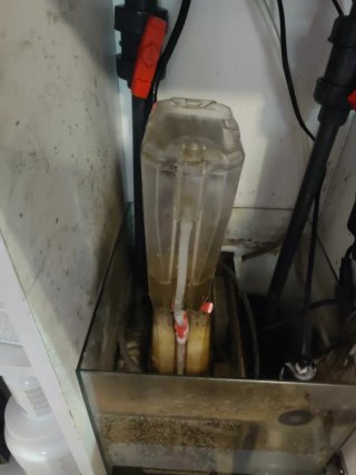 Acuario Marino 100L con Mueble y Sump