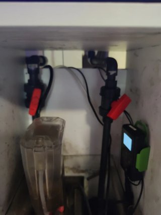 Acuario Marino 100L con Mueble y Sump