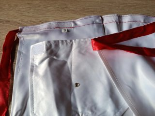 Cosplay Asuna Sword Art Online