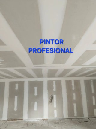 PINTOR PROFESIONAL