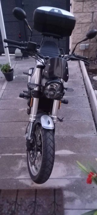 Benelli Leoncino 500 Trail Gris del 2025