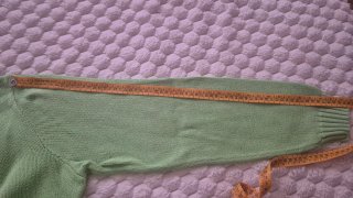Sudadera Polo Ralph Lauren Verde Menta Algodón
