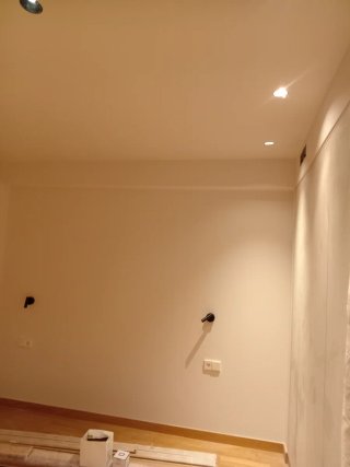 Pintor profesional