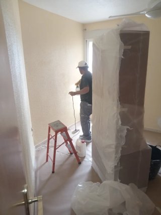 Pintor profesional