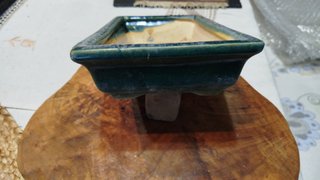 Maceta Bonsái Cerámica Verde Rectangular
