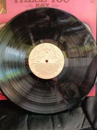 Vinilo Clásico These You Have Loved