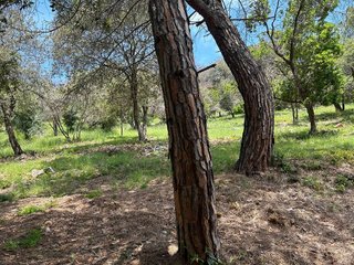 Terreno en venta en Sant Fost de Campsentelles