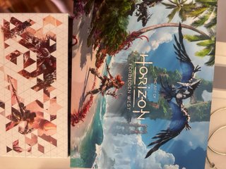 Horizon Forbidden West Edición Especial PS4