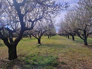 Terreno en venta en Selva del Camp, La