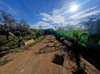 Terreno en venta en Selva del Camp, La