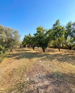 Terreno en venta en Selva del Camp, La