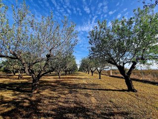 Terreno en venta en Selva del Camp, La