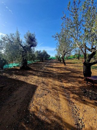 Terreno en venta en Selva del Camp, La