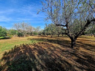 Terreno en venta en Selva del Camp, La
