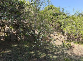 Terreno en venta en Torrelles de Llobregat