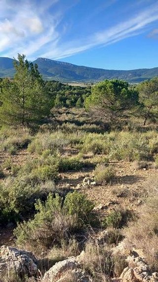 Terreno en venta en Castalla