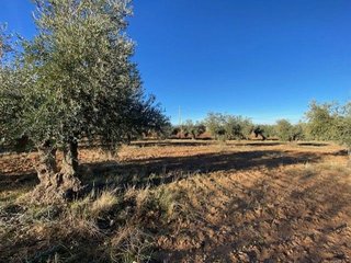 Terreno en venta en Sonseca