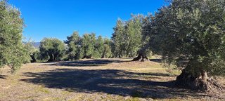Terreno en venta en Bailén
